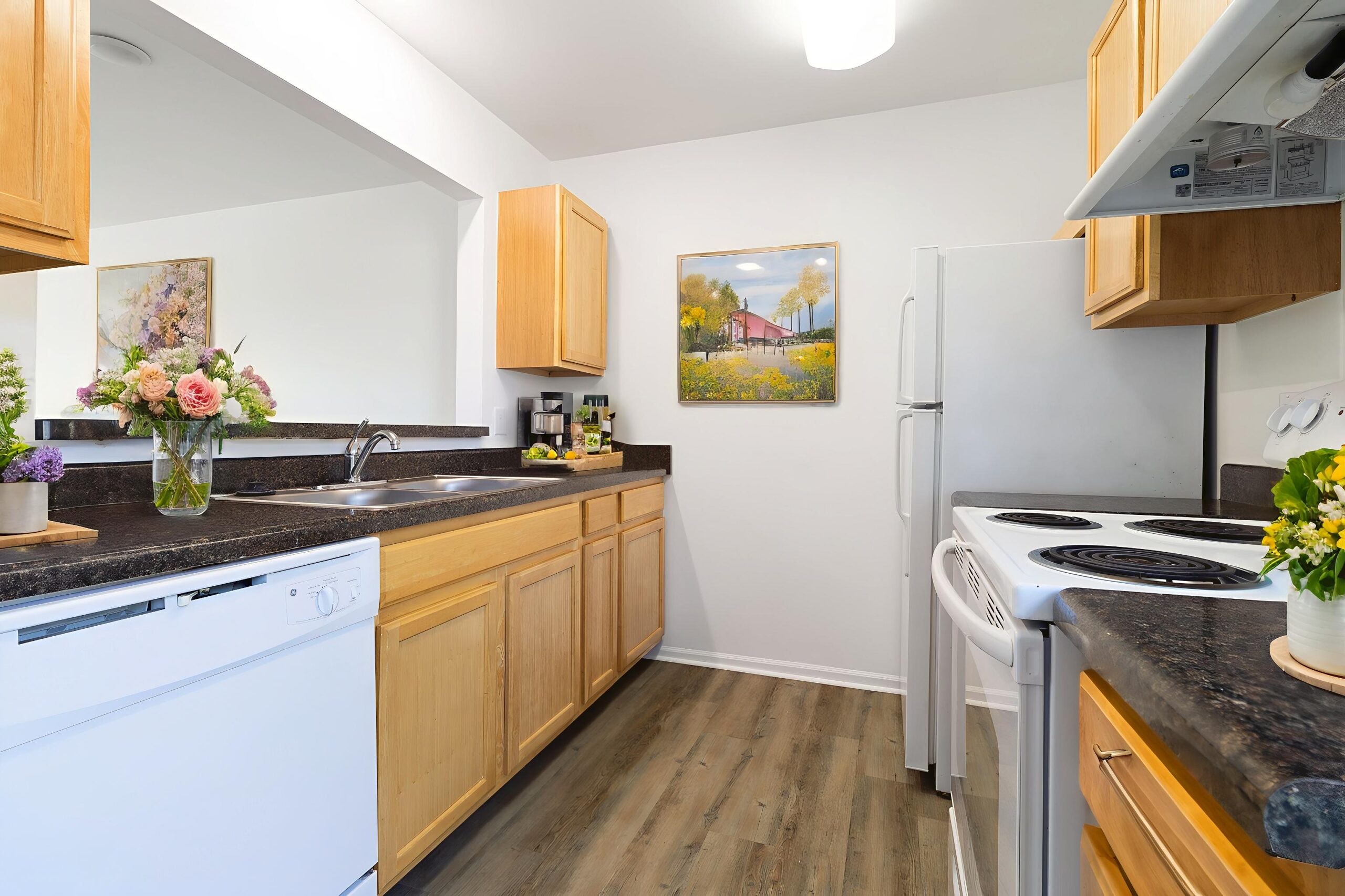 2T2A5646-2-HDR - Kitchen - Modern - 1