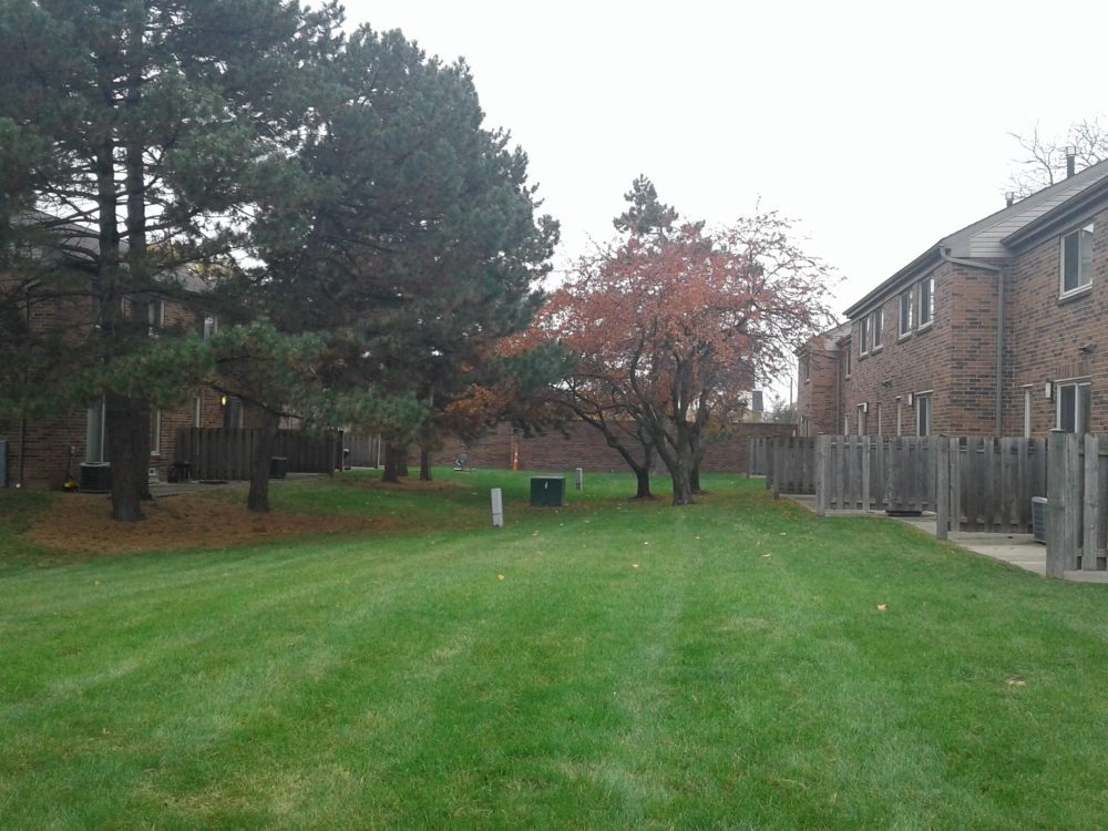 Calumet Continental Management